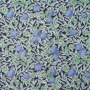 x[ V[`O 50cmP | ؔ ؂蔄 n z zn Rbg100 ؂    C`S Yx[ t{[Y  n t [t A {^jJ 