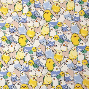 CRς IbNX 50cmP | ؔ ؂蔄 n z zn Rbg100  g Ƃ o[h CR ZLZCCR  ʒn v 킢 Jt Aj} 