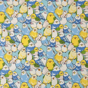 CRς IbNX 50cmP | ؔ ؂蔄 n z zn Rbg100  g Ƃ o[h CR ZLZCCR  ʒn v 킢 Jt Aj} 