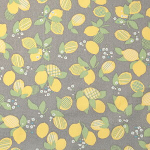 nina Vg[i IbNX 50cmP | ؔ ؂蔄 n z zn Rbg100 j[i 킢 ʉ ʊw Vw ObY jAXJ[  EG k k v  w j̎q