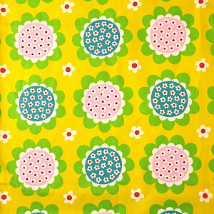 _wPICK^ t[c in t[c t[ IbNX 50cmP | ؔ ؂蔄 n z zn ԕ A k ʉ ʊw Vw ObY h ڗ 啿  keCXg ʒn v