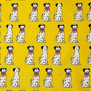 _VA TOX IbNX 50cmP | ؔ ؂蔄 n z zn Ck   킢  R h  j[N Ă񂵂 g hbO ʒn v Rbg100