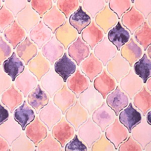 ���ʃ^�b�` �����b�J�� �I�b�N�X 50cm�P�� | �ؔ��� �؂蔄�� ���n �z �z�n �R�b�g��100�� �G�L�]�`�b�N ���U�C�N �����b�R �R���x�� �􉽊w�� �􉽊w�͗l ��v ���킢�� ���������� �O���f�[�V