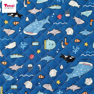 ݂̂ IbNXLg 50cmP | ؔ ؂蔄 n z zn LeBO  v }   Vw ʉ ʊw ObY  C̐   w ̎q 