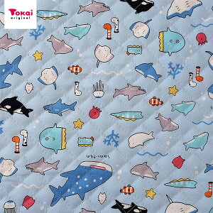 ݂̂ IbNXLg 50cmP | ؔ ؂蔄 n z zn LeBO  v }   Vw ʉ ʊw ObY  C̐   w ̎q 