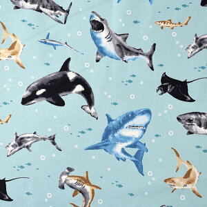 _wPICK^ C̒Ԃ IbNX 50cmP | ؔ ؂蔄 n z zn Rbg100  C̐ Vw ʉ ʊw ObY V[N Ĉ T  W[Y V`