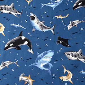 _wPICK^ C̒Ԃ IbNX 50cmP | ؔ ؂蔄 n z zn Rbg100  C̐ Vw ʉ ʊw ObY V[N Ĉ T  W[Y V`