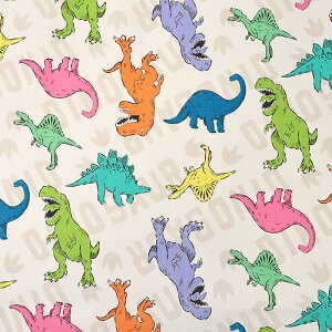 _wPICK^ Jt IbNX 50cmP | ؔ ؂蔄 n z zn 傤イ  Rbg100 _Ci\[ WVbN h ڗ ʒn v  w ʉ ʊw 