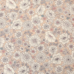 t[ 痿vg IbNX 50cmP | ؔ ؂蔄 n z zn  n Rbg100 lC 킢  i` ԕ  A {^jJ [Yiu  