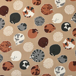 jiCg IbNX 50cmP | ؔ ؂蔄 n z zn L ˂ lR Lbg 킢 AjCg OєL gL CXg |[Y v Rbg100 Aj}  