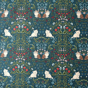 L ȃLoX 50cmP | ؔ ؂蔄 n z zn RbgLoX Rbg100 ˂ lR Lbg {^jJ   Vg[  ʒn v AeB[N _}