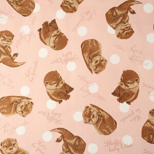 JE\ IbNX 50cmP | ؔ ؂蔄 n z zn Rbg100 킢  Aj} 키 hbg ʕ ʒn v  w Vw ʉ ʊw ObY j̎q 