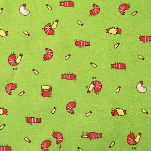 ���g���A�j�}�����[���h �G�r �V�[�`���O 50cm�P�� | �ؔ��� �؂蔄�� ���n �z �z�n �R�b�g��100�� �V�w�� �ʉ� �ʊw �O�b�Y �A�j�}�� ���j�[�N ������ �G�r �C�V ���N�� �C�̐����� ���� ���� 