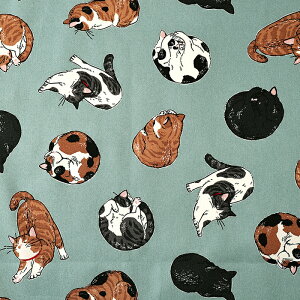 L IbNX 50cmP | ؔ ؂蔄 n z zn ˂ lR Lbg 킢 Rbg100 ʒn |[Y CXg ݃J[ v Aj}  ɂ jR OєL 