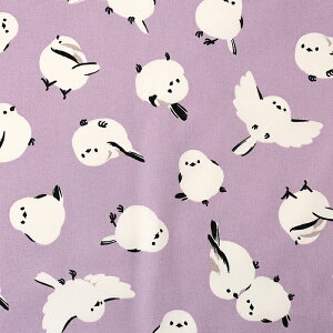 V}GiK IbNX 50cmP | ؔ ؂蔄 n z zn ʒn v Rbg100    Aj} ӂӂ Vv t@V[ 쒹  w ʉ ʊw Vw ObY j