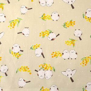 V}GiKƃ~U IbNX 50cmP | ؔ ؂蔄 n z zn ʒn v Rbg100   ܂Ȃ ObY t@V[ Aj} L[g t[ o[h 킢  쒹