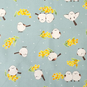 V}GiKƃ~U IbNX 50cmP | ؔ ؂蔄 n z zn ʒn v Rbg100   ܂Ȃ ObY t@V[ Aj} L[g t[ o[h 킢  쒹