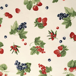 x[ IbNX 50cmP | ؔ ؂蔄 n z zn ʒn v 킢 Rbg100 R lۂ {^jJ   C`S t[c ʕ i` Xgx[