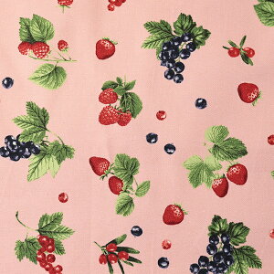 x[ IbNX 50cmP | ؔ ؂蔄 n z zn ʒn v 킢 Rbg100 R lۂ {^jJ   C`S t[c ʕ i` Xgx[