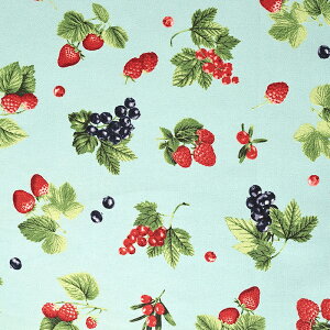 x[ IbNX 50cmP | ؔ ؂蔄 n z zn ʒn v 킢 Rbg100 R lۂ {^jJ   C`S t[c ʕ i` Xgx[