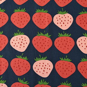 傫Ȃ IbNX 50cmP | ؔ ؂蔄 n z zn Rbg100 킢 C`S  ʒn ʕ t[c lۂ v Xgx[ 啿 傫 k keCXg 