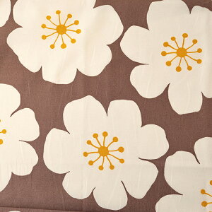 kt[ IbNX 50cmP | ؔ ؂蔄 n z zn Rbg100 t[ ԕ t[vg lۂ ʒn v 啿 傫 k keCXg k 