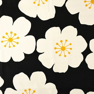 kt[ IbNX 50cmP | ؔ ؂蔄 n z zn Rbg100 t[ ԕ t[vg lۂ ʒn v 啿 傫 k keCXg k 