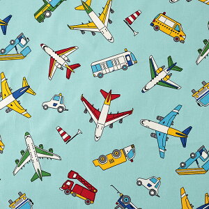 s@ IbNX 50cmP | ؔ ؂蔄 n z zn Rbg100  ͂炭 q@ Ђ ʉ ʊw Vw [LOJ[ ` ̂ 蕨   w