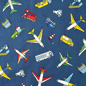 s@ IbNX 50cmP | ؔ ؂蔄 n z zn Rbg100  ͂炭 q@ Ђ ʉ ʊw Vw [LOJ[ ` ̂ 蕨   w