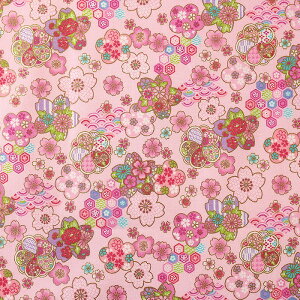 a  V[`O 50cmP | ؔ ؂蔄 n z zn Rbg100 a aeCXg t[ ` l _ Jt D D   n 킢 S[h 