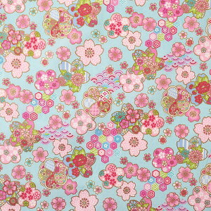 a  V[`O 50cmP | ؔ ؂蔄 n z zn Rbg100 a aeCXg t[ ` l _ Jt D D   n 킢 S[h 