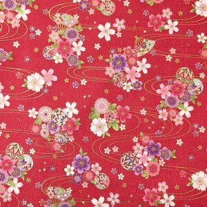 a { V[`O 50cmP | ؔ ؂蔄 n z zn Rbg100 a aeCXg t[ ` l _  D D   n 킢 S[h 