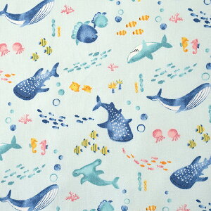 Nuance Kids ĈȂܕ CB 50cmP | ؔ ؂蔄 n z zn Rbg100 킢 C̐ Vw ʉ ʊw  C̒ Ĉ  n n jAXLbY  