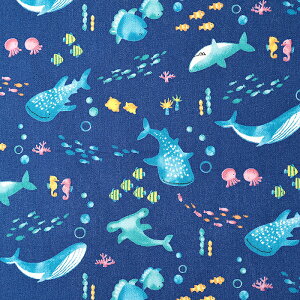 Nuance Kids ĈȂܕ CB 50cmP | ؔ ؂蔄 n z zn Rbg100 킢 C̐ Vw ʉ ʊw  C̒ Ĉ  n n jAXLbY  