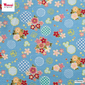 ���n �z �f�B�Y�j�[ �~�j�[ ���b�v�� 50cm�P�� | �ؔ��� �؂蔄�� �z�n �L�����N�^�[ �~�j�[�}�E�X ���킢�� �䂩�� ����ׂ� ���̎q �j�̎q �R�b�g��100�� �a�� �a�� �a�� ���߃h���X Disney ��l