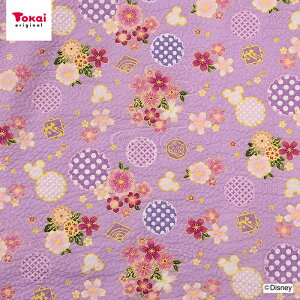 ���n �z �f�B�Y�j�[ �~�j�[ ���b�v�� 50cm�P�� | �ؔ��� �؂蔄�� �z�n �L�����N�^�[ �~�j�[�}�E�X ���킢�� �䂩�� ����ׂ� ���̎q �j�̎q �R�b�g��100�� �a�� �a�� �a�� ���߃h���X Disney ��l