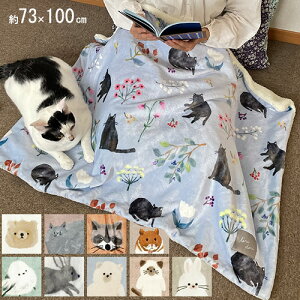 ӂӂuPbg Aj}yiz | Ђ| ѕz ߓd ObY g e[N ݑΖ  ₦ h  Lv AEghA ItBX 킢  v[g L 