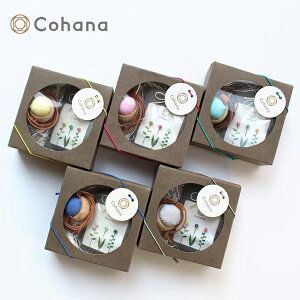 Cohana Ƃڋʂ̑ҐjƃqmL̃sNbVlbNXZbg | Cohana Mtg KAWAGUCHI | ͌  nY H| ㎿ nhCh v[g ̓ ͂͂̂ Rni ͂ { japan