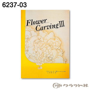 SSԒ|Cg10{!U[Ntg t[J[rO3 NtgЁ@6237-03@(񂹕i)@([֕s)