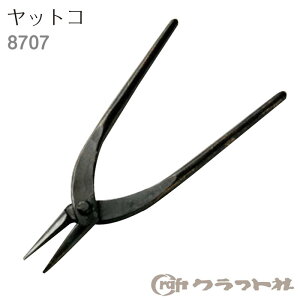 R[i[ɁubgRv@8707@(񂹕i)@([֕s)