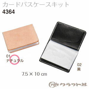 SSԒ|Cg10{!U[Ntg J[hpXP[X Lbg NtgЁ@4364@(񂹕i)@([֕s)