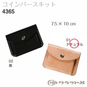 SSԒ|Cg10{!U[Ntg RCp[X Lbg i`@#01 i` NtgЁ@4365_01@(񂹕i)@([։)