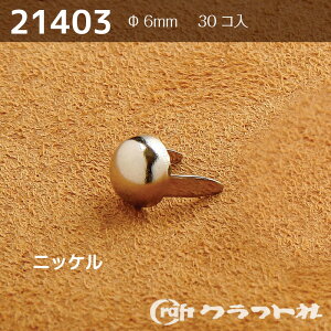 U[Ntg X^bY 肠@ (6mm)@ 30R NtgЁ@21403@(񂹕i)@([։)