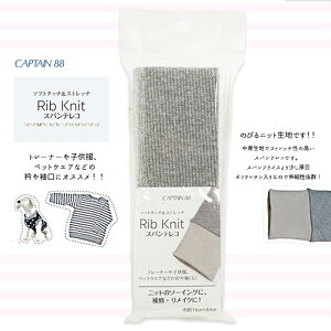 CAPTAIN88 XpeR (ۃO[)@CP232-15@([։)