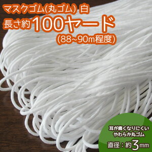 }XNS (ۃS) 100[h(88m`90mx)   Â}XN쉞i@([։)