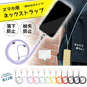 X}zplbNXgbv  X}zV_[ V_[Xgbv h~ y Ԃ珗q@BE1063@([։)