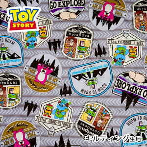 KOKKA sNT[ gCXg[[ 4 yLv LeBO n@(10cmP)@GRQ-1116-1@([֕s)