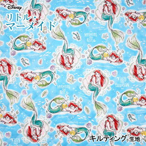 KOKKA Disney g}[Ch XPb` LeBO n@(10cmP)@GRQ-1136-1@([֕s)