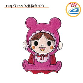 あかちゃんまん　Bigワッペン全身タイプ　アンパンマン　ビッグワッペン　ANX006　(メール便可)