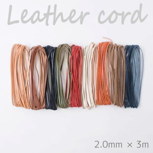 wA[g w{^jJU[R[h2.0mm×3mx Ȗ؃U[ vЂg vЂ v {v Ђ R@([։)